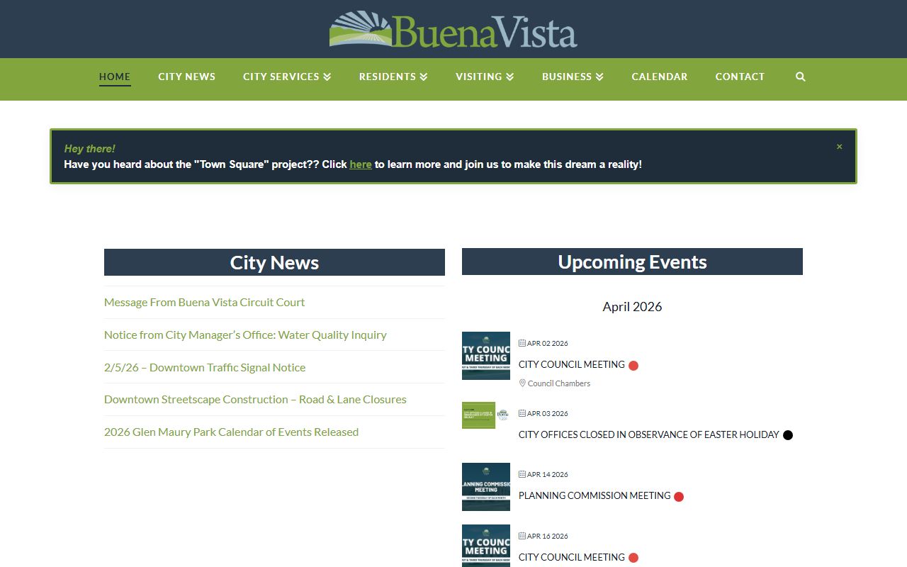 Buena Vista Virginia city government website for bankruptcy records